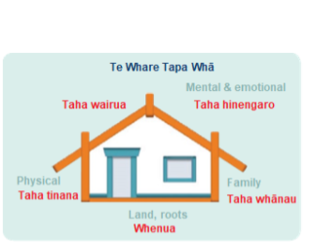 Naylor Love Explore Careers New Zealand