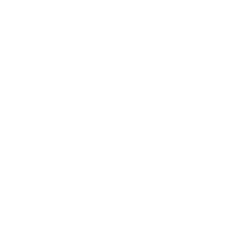 Chartered Accountants ANZ Business Logo