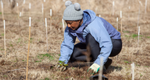 Alsco Uniforms planting trees in field